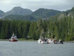 Coast Guard cutter and clam boats Queen Bay, BC
